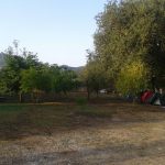 Han Camping Kayaköy Han Camping Kayaköy
