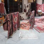 Kedi nerede Shavteli Caddesi