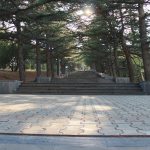 Mtatsminda Parkı Mtatsminda Parkı
