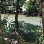 Endes Camping, Kazdağı Endes Camping, Kazdağı