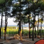 Güzelyalı Çamlık Kamp Alanı, Çanakkale Güzelyalı Çamlık Kamp Alanı, Çanakkale