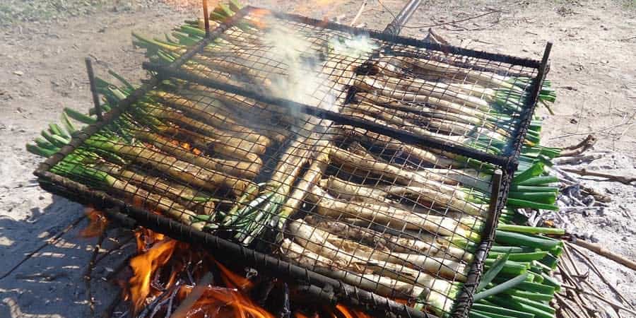 Calçot közlemesi
