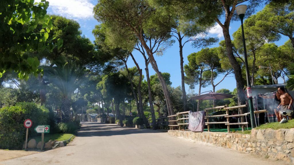 cala gogo inside
