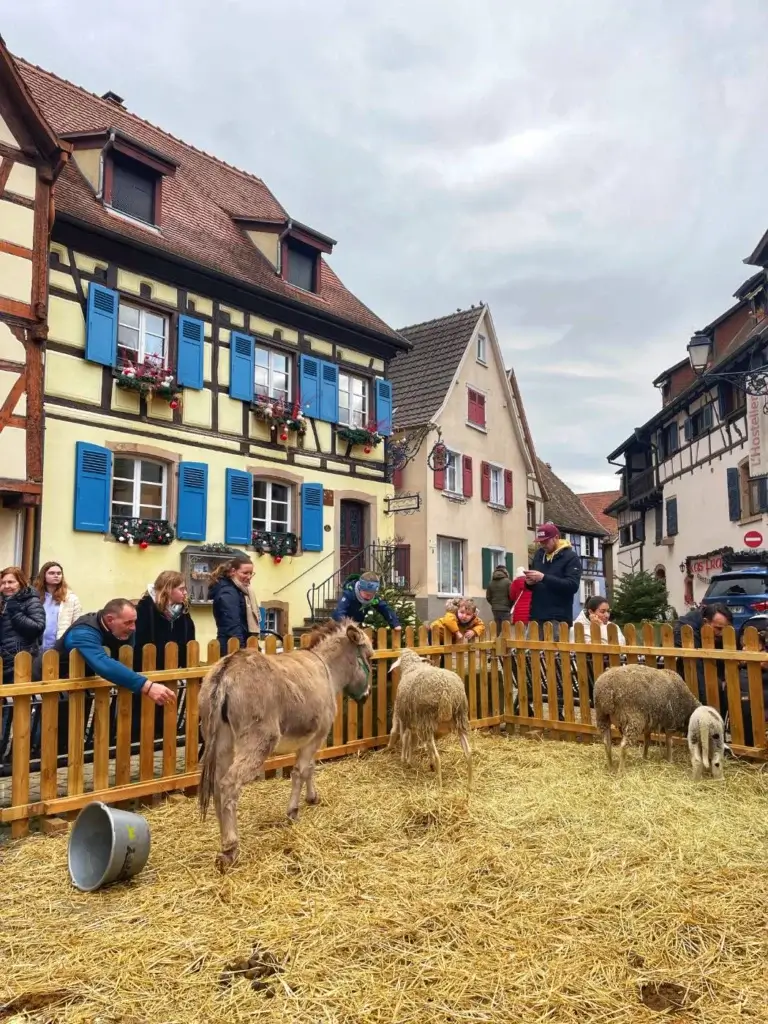 Eguisheim animals